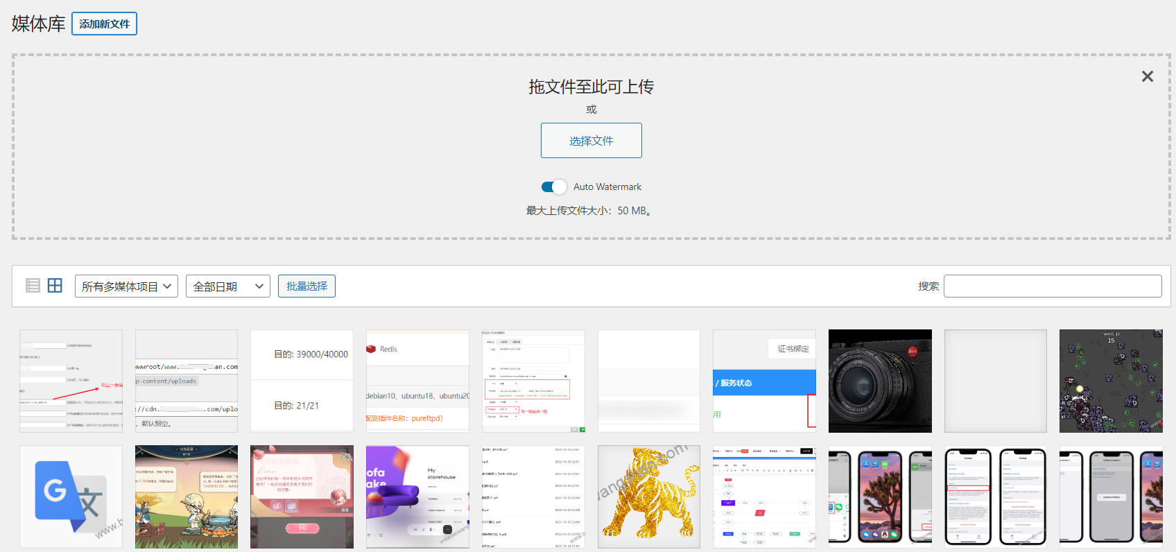 WordPress使用二级域名存储图片等静态资源达到网站加速的详细配置-淇云博客-专注于IT技术分享